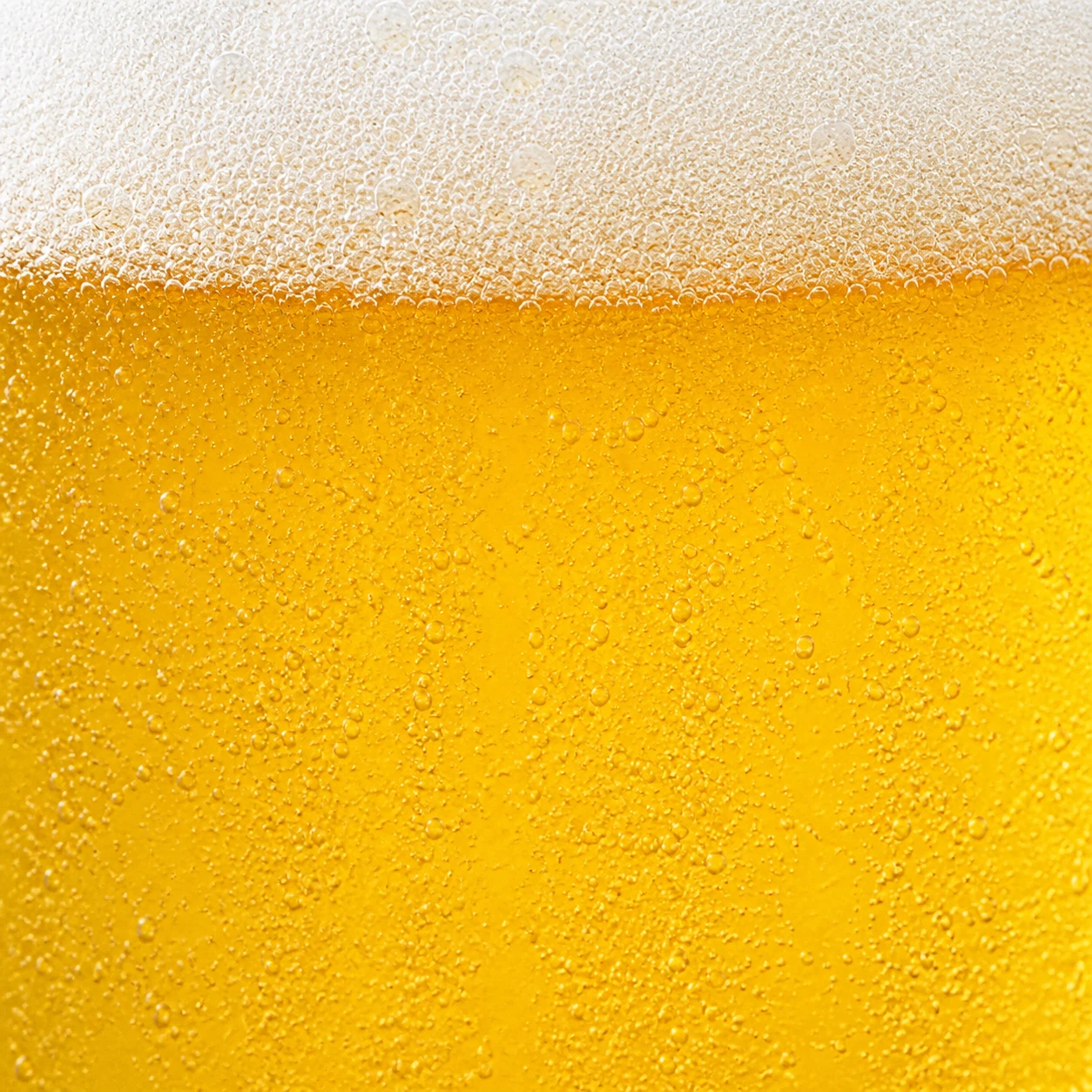 黄金色のビールと泡のクローズアップ