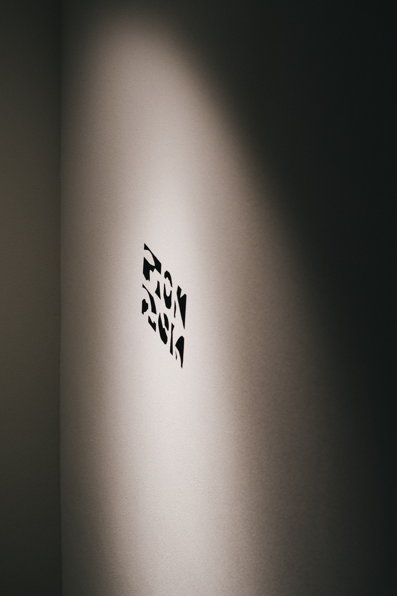 DSCF6382 - 実験施設 ZOKZOK