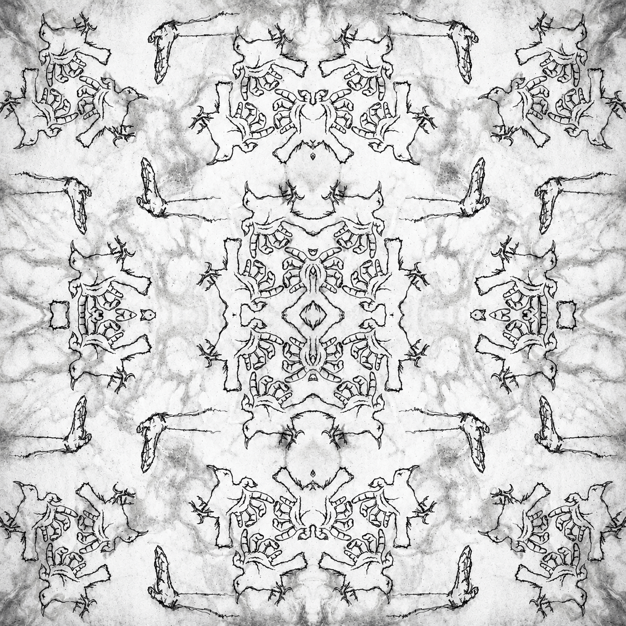 PARIS FASHION EXPERIMENT 観測者 PASS